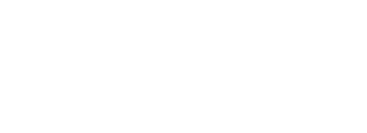 Avante Pass